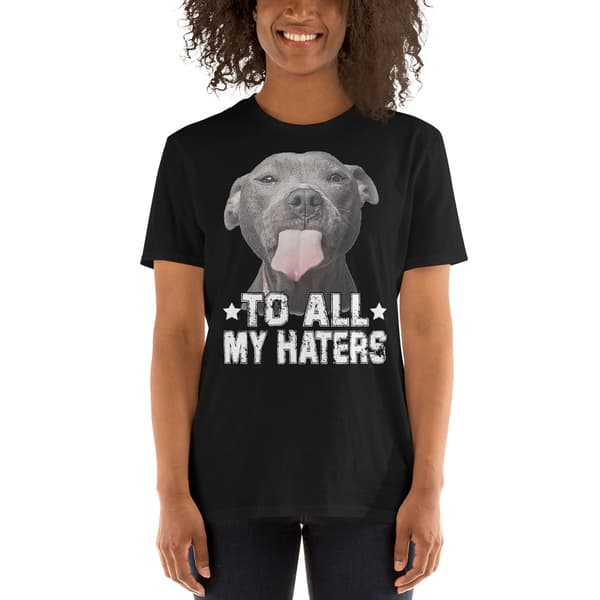 To All My Haters T-shirt