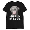 Miniatyrbild 1 av 3: To All My Haters T-shirt