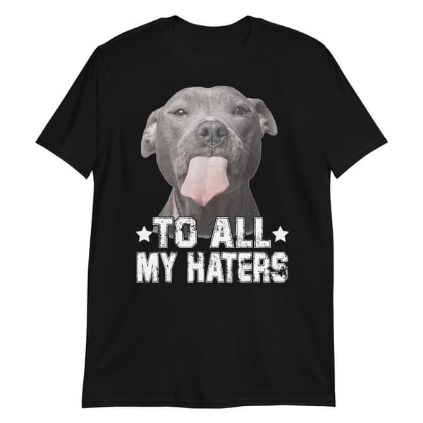To All My Haters T-shirt