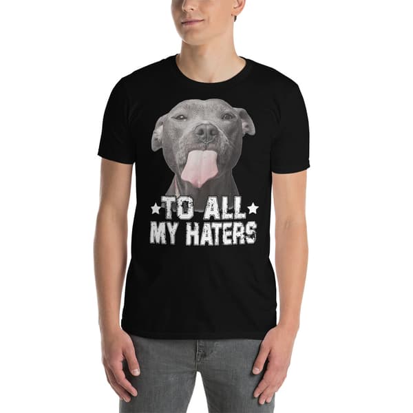 To All My Haters T-shirt