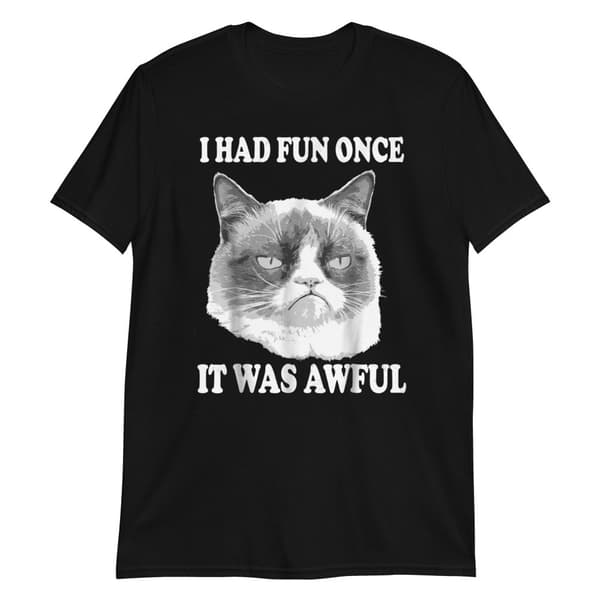 I Had Fun Once T-shirt