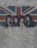 Miniatyrbild 3 av 4: Queen T Shirt Vintage Union Jack Band Shot Logo Official Mens Grey Burnout