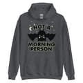Miniatyrbild 1 av 3: Not A Morning Person Hoodie