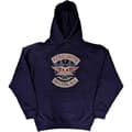 Miniatyrbilde 1 av 2: Aerosmith Unisex Pullover Hoodie: Boston Pride (Small)