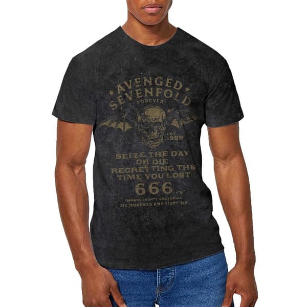 Avenged Sevenfold Unisex T-Shirt: Seize The Day (Wash Collection) (Large)