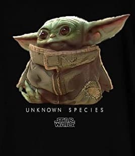 The Mandalorian - Svart T-shirt med barnlogotyp för män - 8 år