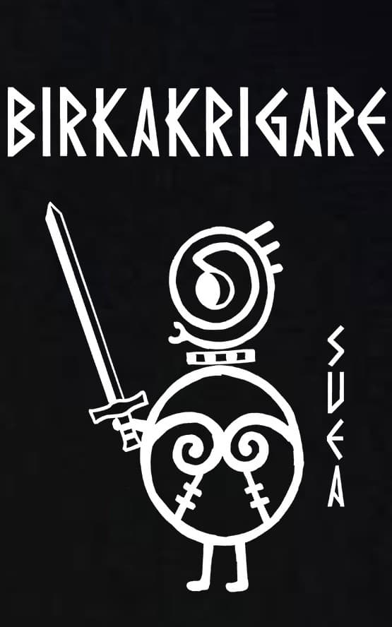Kids t-shirt: Birka Warriors - Svea - Viking Art Collection (7-8 years)