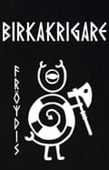 Miniatyrbild 2 av 2: Barn t-shirt: Birkakrigare - Fröydis - Viking Art Kollektion (3-4 år)