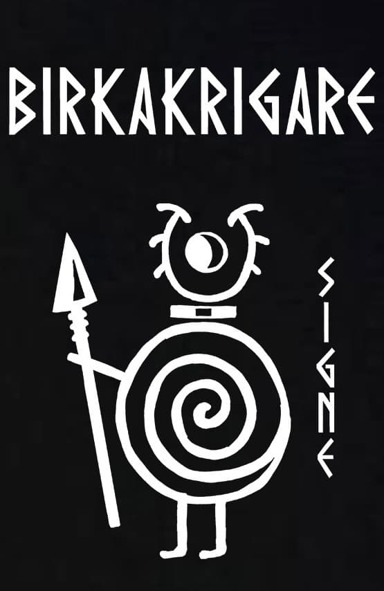 Kids t-shirt: Birka Warriors - Signe - Viking Art Collection (7-8 years)