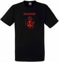 Miniatyrbillede 1 af 2: T-shirt: Birka Warriors - Floke - Viking Art Collection (X-Large)