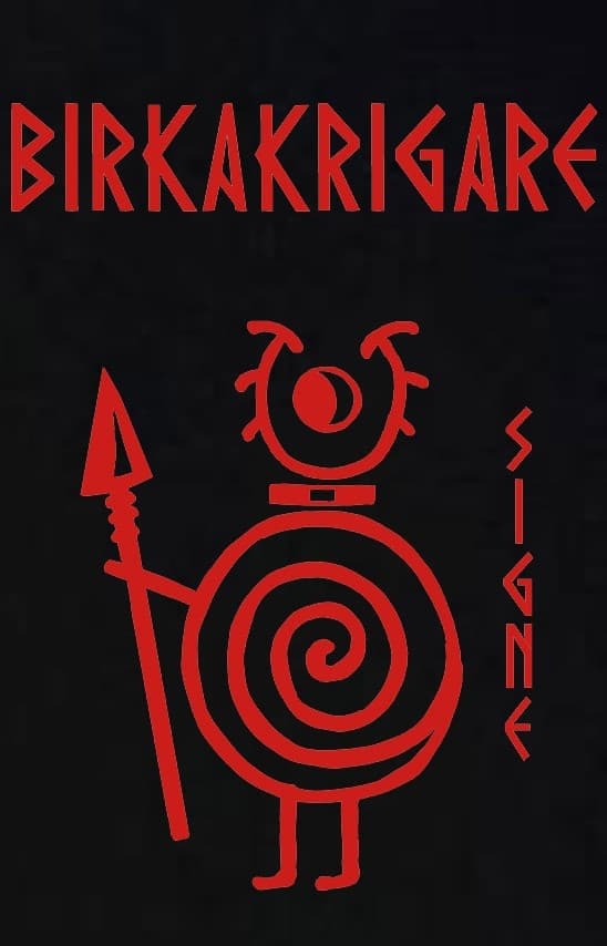 Barn t-shirt: Birkakrigare - Signe - Viking Art Kollektion (5-6 år)