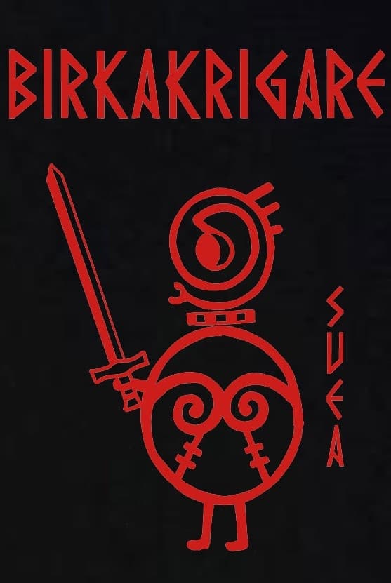 Barn t-shirt: Birkakrigare - Svea - Viking Art Kollektion (5-6 år)