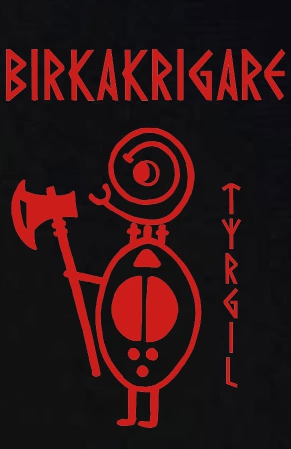 Kids t-shirt: Birka Warriors - Tyrgil - Viking Art Collection (5-6 years)