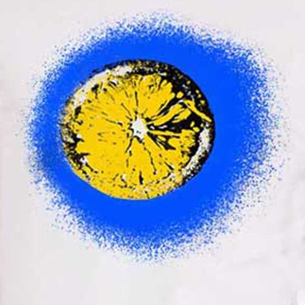 The Stone Roses T Shirt Blue Lemon Band Logo Oasis Waterfall Official