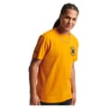 Pikkukuva 1 / 4: Superdry T-paita Vintage Collegiate Oranssi S Mies