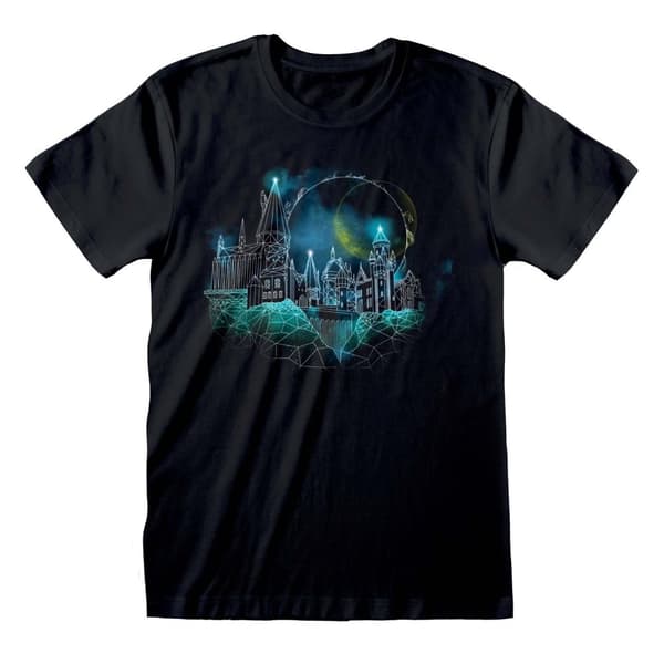 Harry Potter - Wireframe Hogwarts - Large