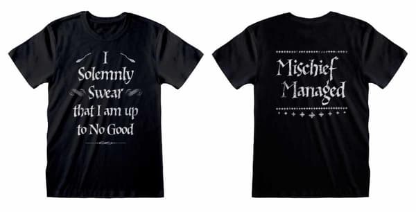 Harry Potter Swear Solemnly - Large