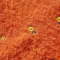 Miniatyrbillede 4 af 7: vidaXL Striktrøje til børn str. 128 orange