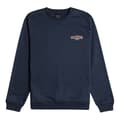 Miniatyrbild 3 av 4: Billabong Långärmad T-shirt Adiv Arch Grå S Man