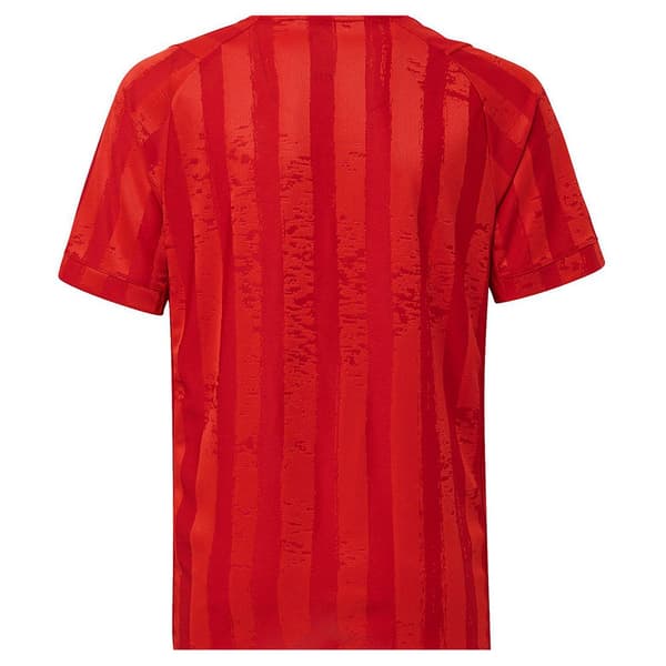 Adidas Kort Ärm T-shirt Printed Freelift Röd 15-16 Years