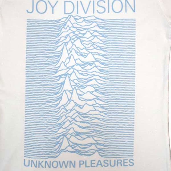 Joy Division Unknown Pleasures FP Womens Skinny Fit T Shirt