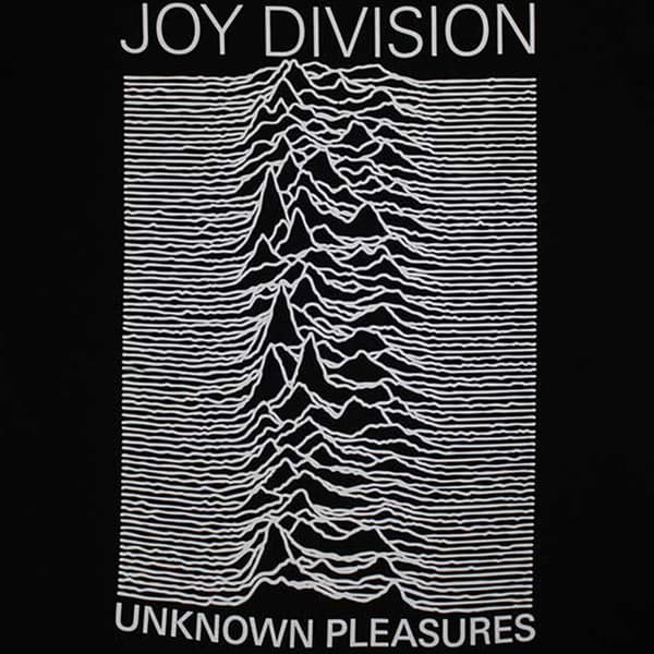 Joy Division Unknown Pleasures FP Womens Skinny Fit T Shirt