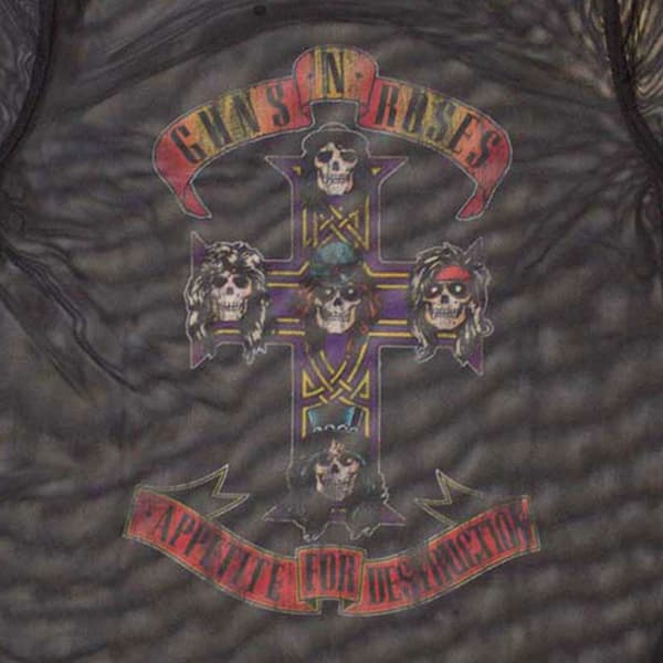 Guns N' Roses Appetite For Destruction Long Sleeve Mesh Crop Top