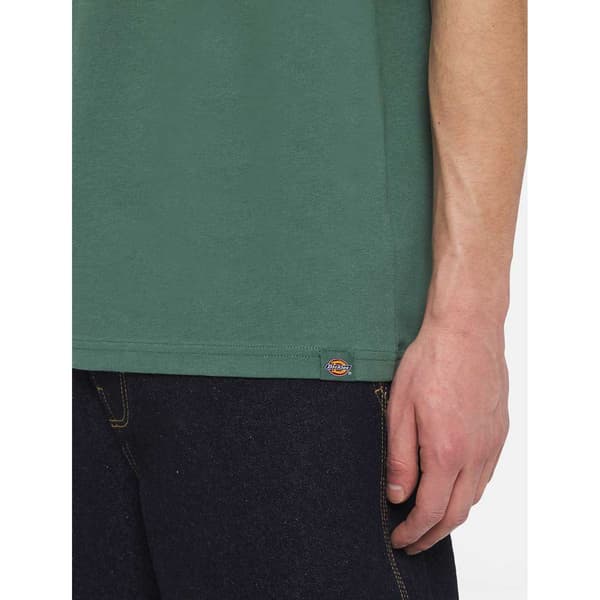 Dickies Elliston T-shirt Med Korta ärmar Grönt S Man