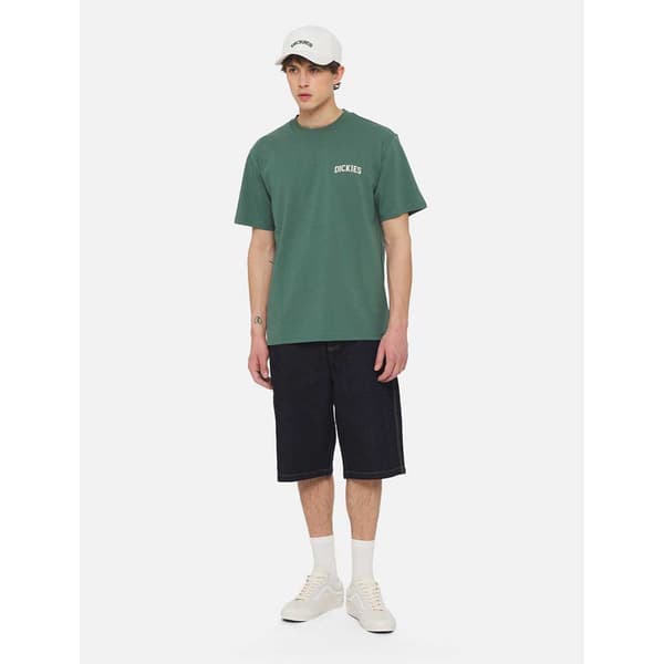 Dickies Elliston T-shirt Med Korta ärmar Grönt S Man