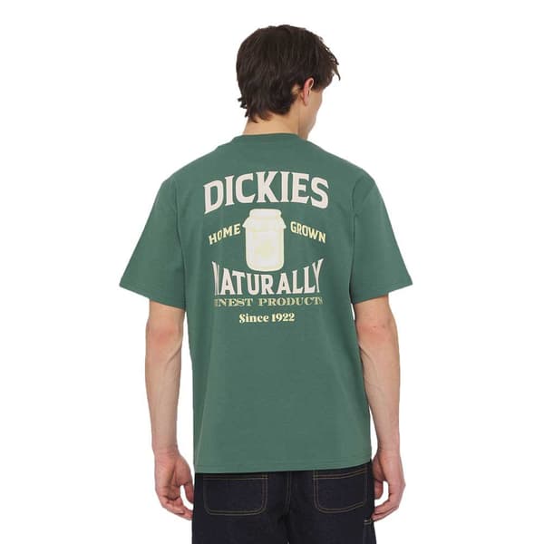 Dickies Elliston T-shirt Med Korta ärmar Grönt S Man
