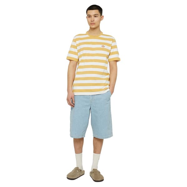 Dickies Rivergrove T-shirt Med Korta ärmar Gul M Man