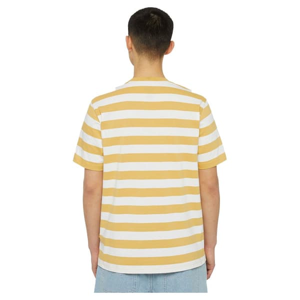 Dickies Rivergrove T-shirt Med Korta ärmar Gul M Man