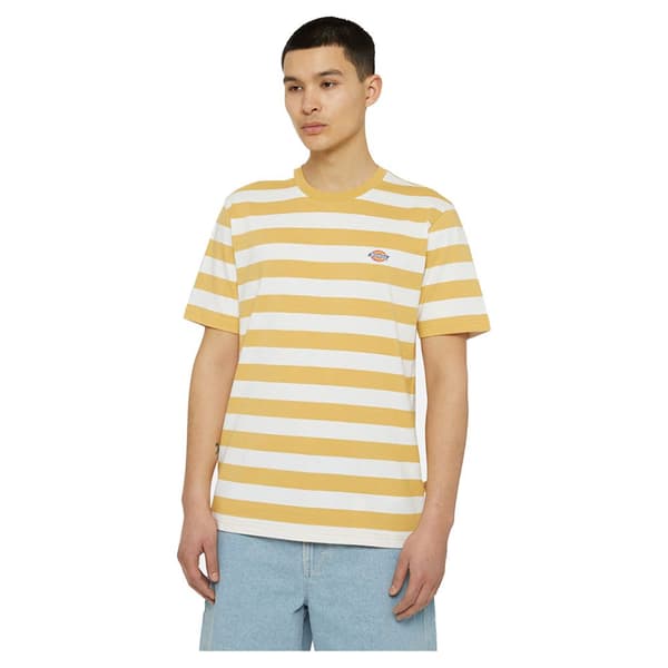 Dickies Rivergrove T-shirt Med Korta ärmar Gul M Man