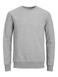 Miniatyrbild 5 av 5: Basic Crewneck Sweat