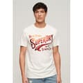 Miniatyrbild 1 av 6: Superdry Metallic Workwear Graphic T-shirt Med Korta ärmar Vit 2XL Man