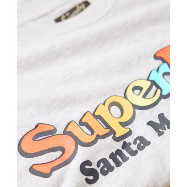 Superdry Rainbow Logo Relaxed T-shirt Med Korta ärmar Grå S Kvinna