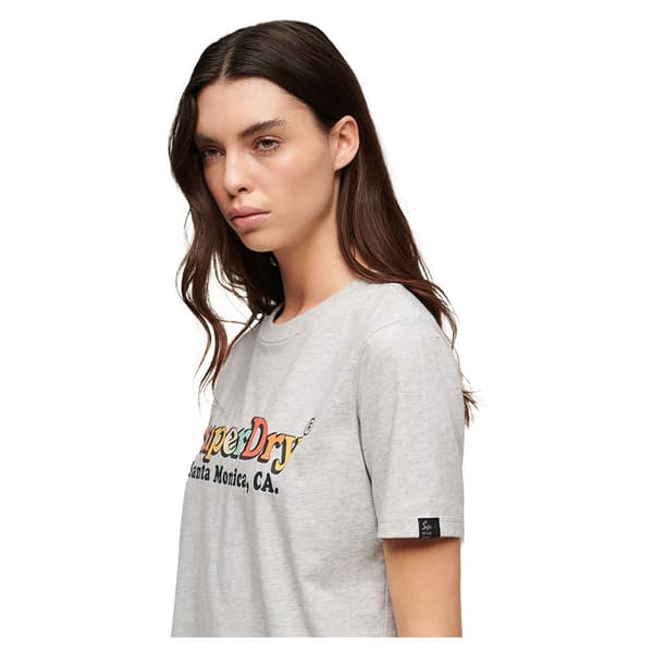 Superdry Rainbow Logo Relaxed T-shirt Med Korta ärmar Grå S Kvinna