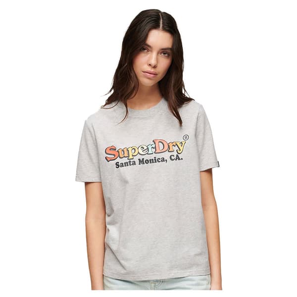 Superdry Rainbow Logo Relaxed T-shirt Med Korta ärmar Grå S Kvinna