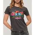Miniatyrbild 1 av 7: Superdry Cali Sticker Fitted T-shirt Med Korta ärmar Brun M Kvinna