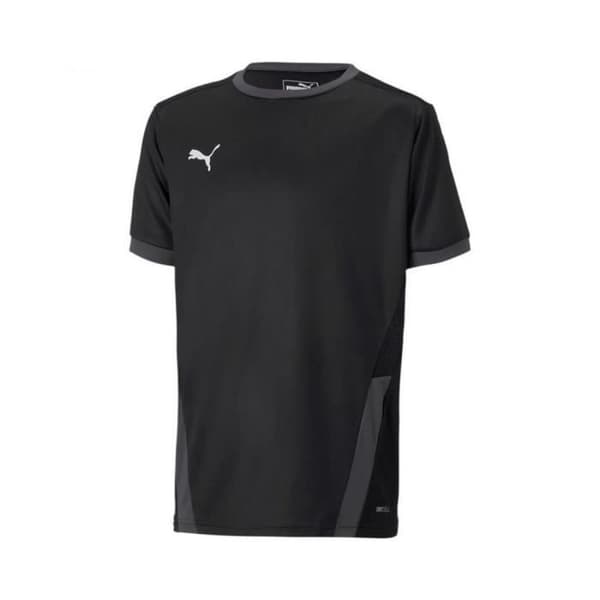 Puma Teamgoal 23 tröja 70416003
