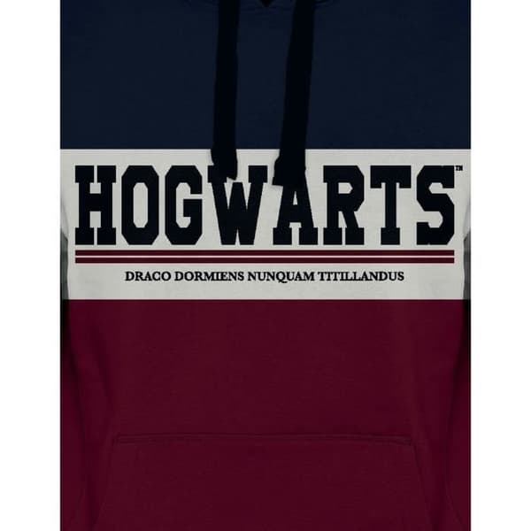 Sweat - Harry Potter - Hogwarts - Blå, Vit, Bordeaux - Långa Ärmar - Huva