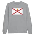 Miniatyrbild 1 av 3: Långärmad t-shirt - PIXELFORMA - Jersey Flagga - 100% bomull - Långa ärmar - Grå