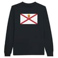 Miniatyrbild 1 av 3: Långärmad T-shirt - PIXELFORMA - Jersey Flagga - Svart - 100% bomull - Regular passform