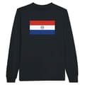 Miniatyrbild 1 av 3: Långärmad t-shirt - PIXELFORMA - Flag of Paraguay - Svart - Normal passform - Vuxen