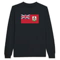 Miniatyrbild 1 av 3: Långärmad T-shirt - PIXELFORMA - Bermudaflagga - 100% bomull - Långa ärmar - Regular fit
