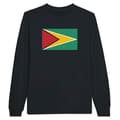 Miniatyrbild 1 av 3: T-shirt med lång ärm - PIXELFORMA - Guyanas flagga - Svart - 100% bomull - Vuxen
