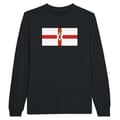 Miniatyrbild 1 av 3: Nordirlands flagga långärmad T-shirt i svart