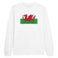 Miniatyrbild 1 av 3: T-shirt med långa ärmar - PIXELFORMA - Wales flagga - 100% bomull - Vit - Man