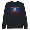 Miniatyrbild 1 av 3: Långärmad t-shirt - PIXELFORMA - Flag of Belize - 100 % bomull - Långa ärmar - Optimal komfort
