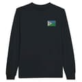 Miniatyrbild 1 av 3: Långärmad T-shirt - PIXELFORMA - Djiboutis flagga - Svart - Regular fit - Bekväm